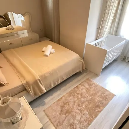 My White House 特拉布宗