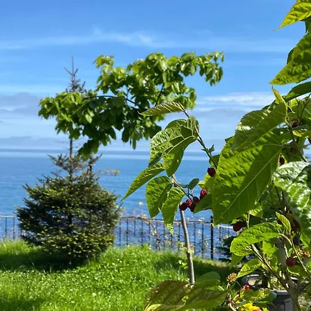 Apartment My White House Trabzon
