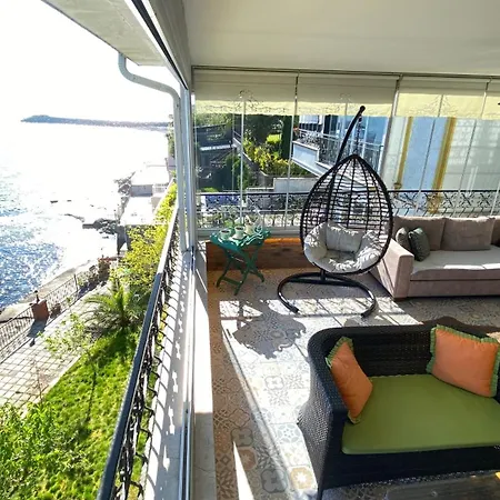 Daire My White House