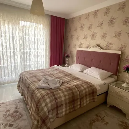 My White House Daire