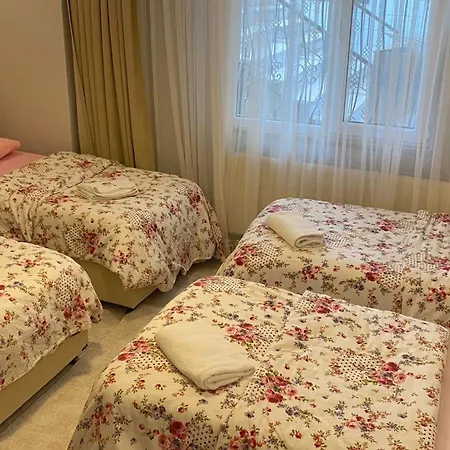 My White House Daire *