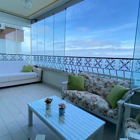 Daire My White House *