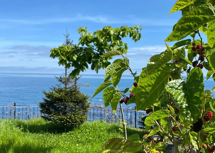 Appartement My White House Trabzon